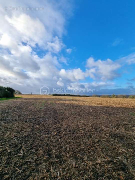 Terrain à QUIMPER