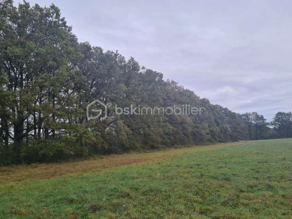 Terrain à SAINT-FARGEAU