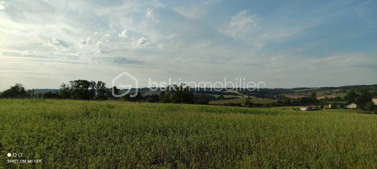 Terrain à VILLEMUR-SUR-TARN