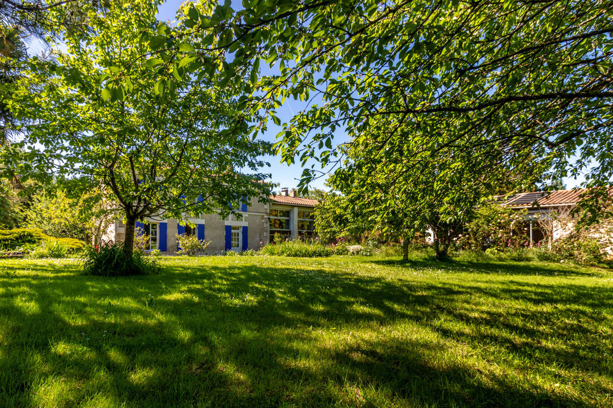 Maison à PESSINES