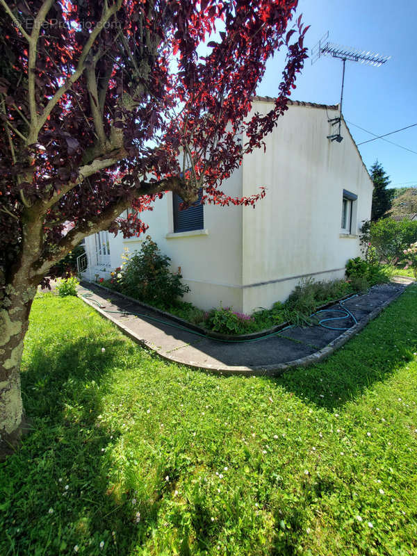 Maison à MESCHERS-SUR-GIRONDE