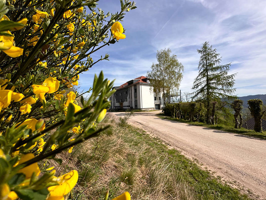 Appartement à MUNSTER