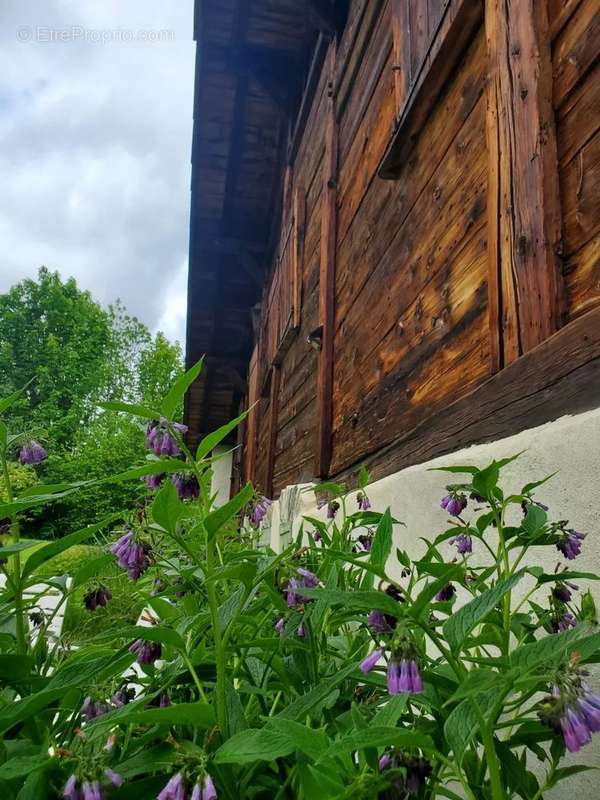 Maison à LES HOUCHES