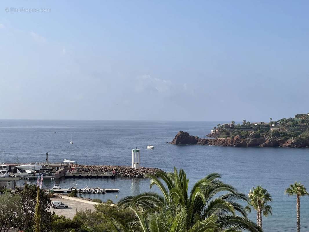 Appartement à THEOULE-SUR-MER