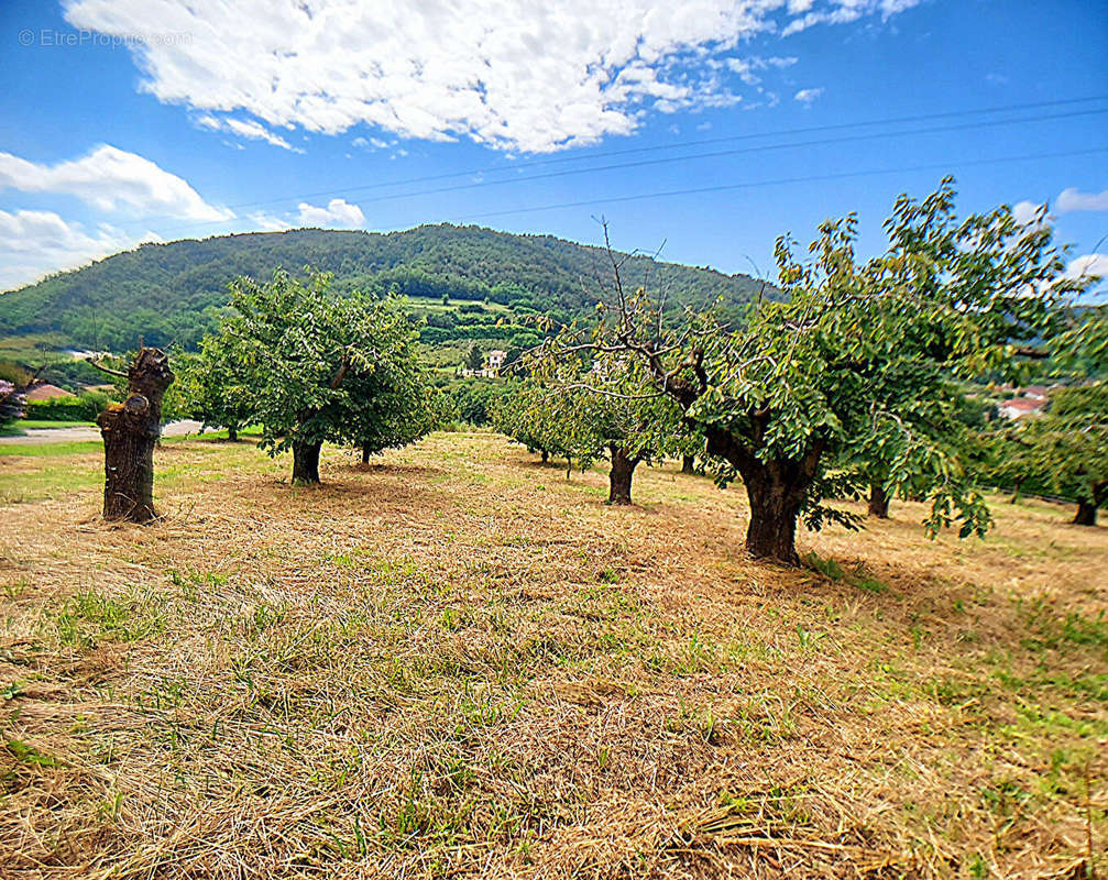 Terrain à SAINT-DESIRAT