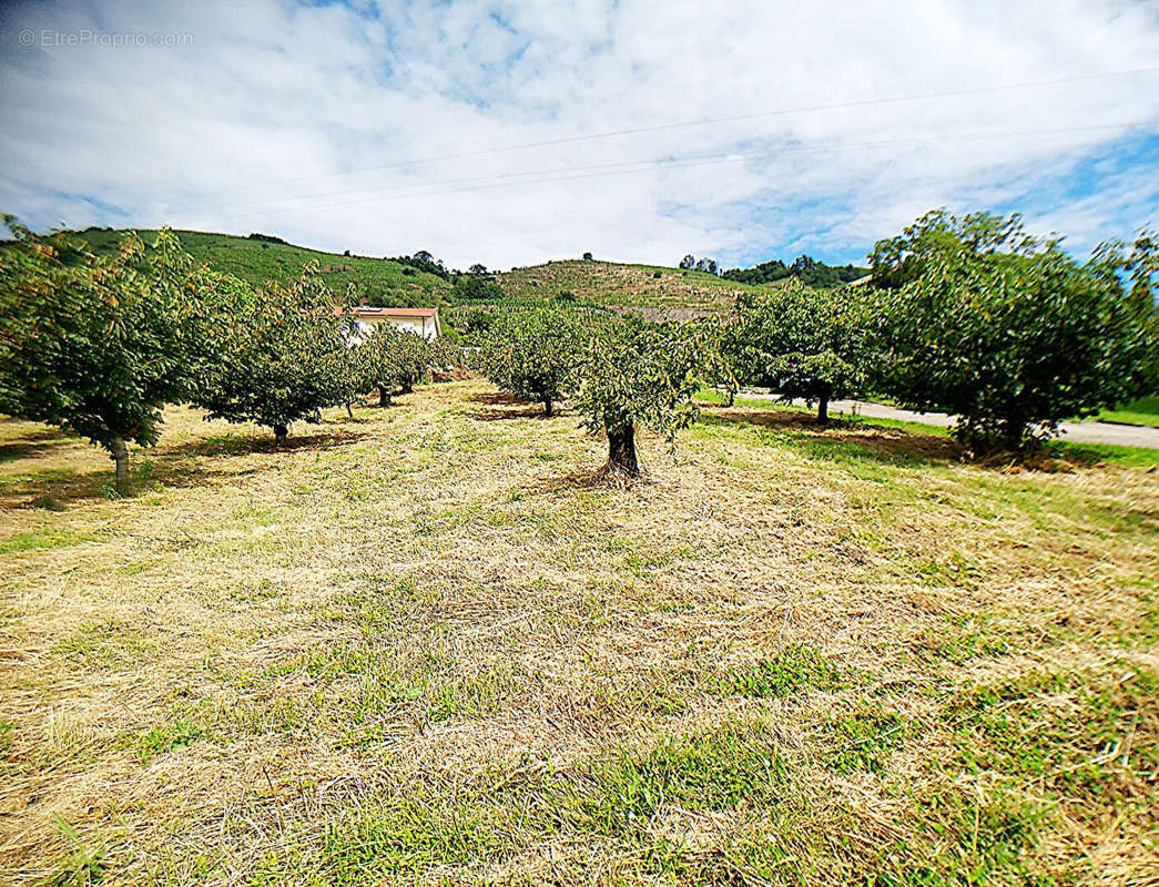 Terrain à SAINT-DESIRAT