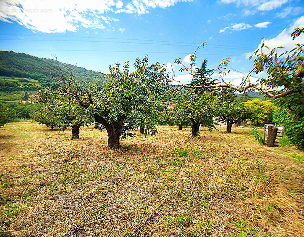 Terrain à SAINT-DESIRAT