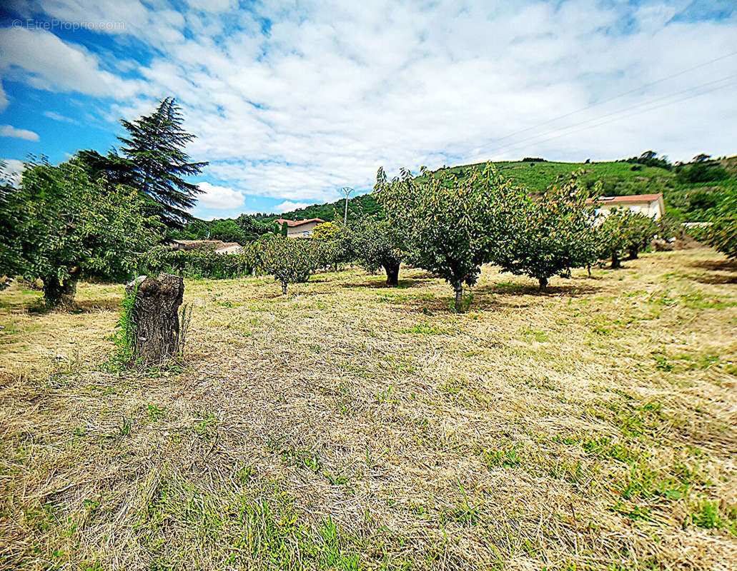 Terrain à SAINT-DESIRAT