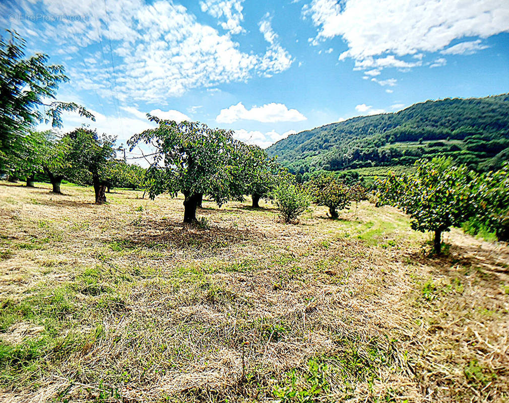 Terrain à SAINT-DESIRAT