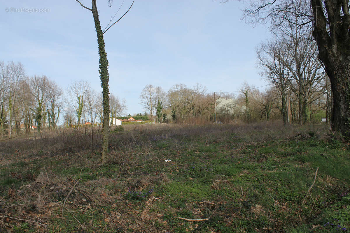 Terrain à SAINT-ETIENNE-DE-VICQ