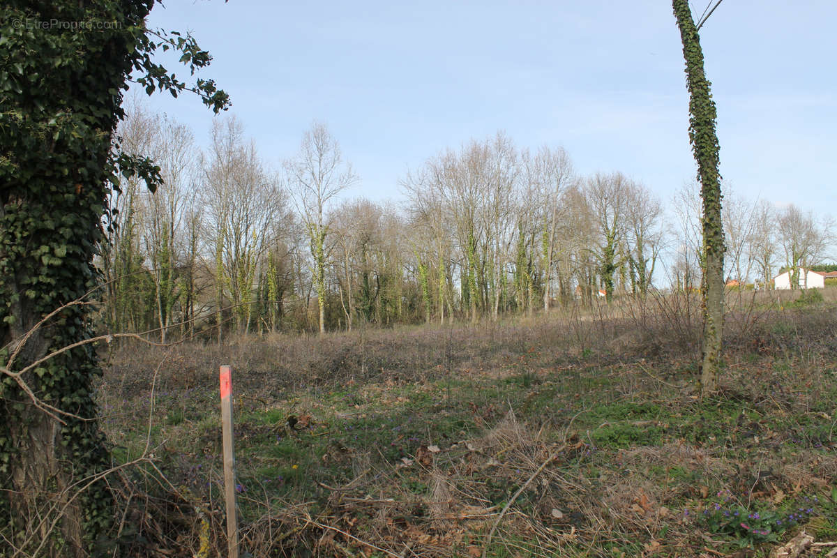 Terrain à SAINT-ETIENNE-DE-VICQ