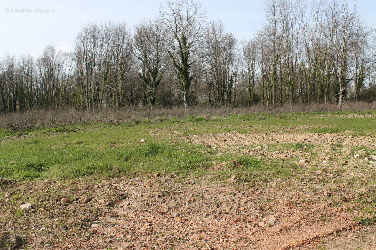 Terrain à SAINT-ETIENNE-DE-VICQ