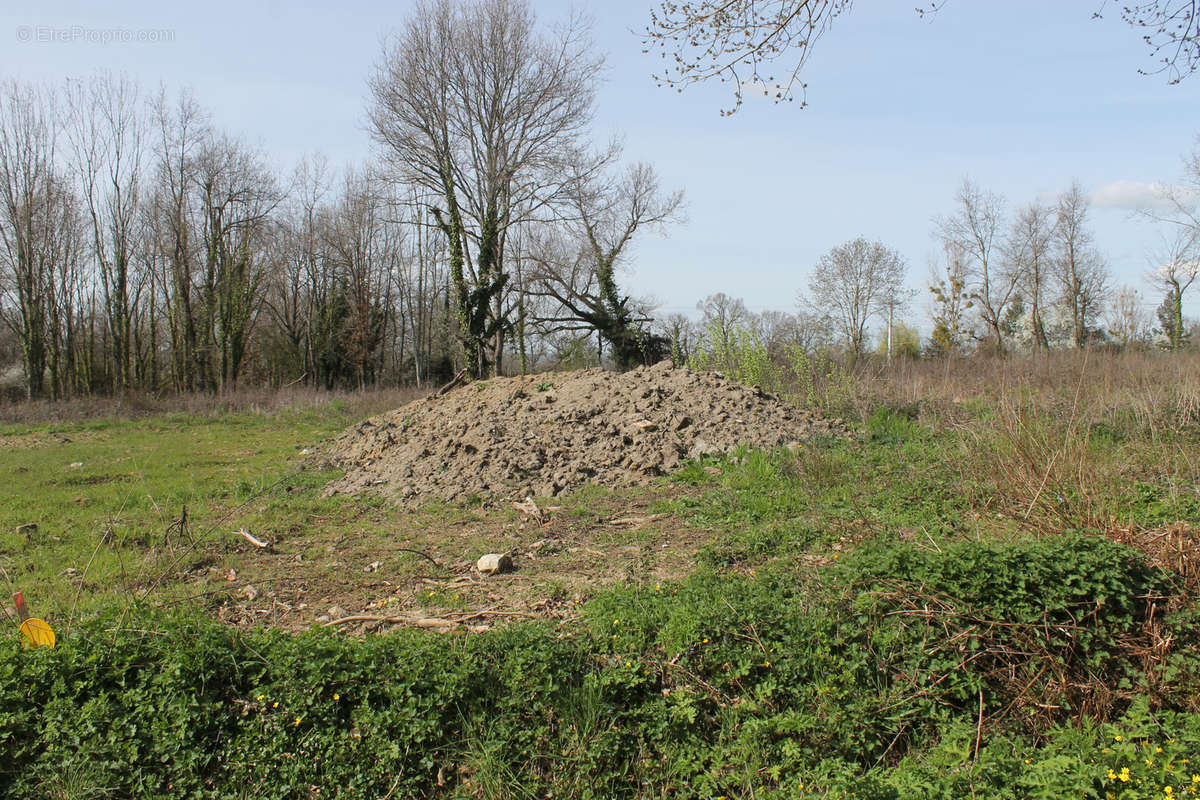 Terrain à SAINT-ETIENNE-DE-VICQ