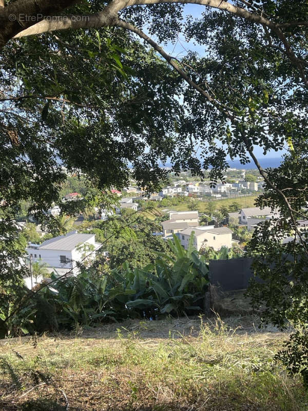 Terrain à SAINTE-MARIE