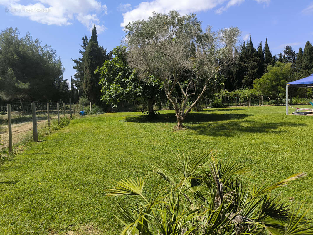 Maison à CLAIRA