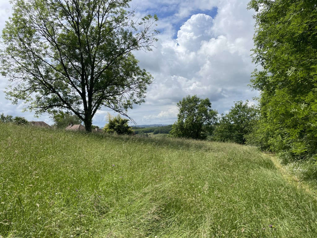 Terrain à VIGNOLS