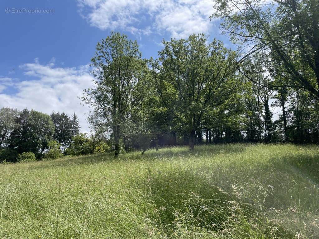 Terrain à VIGNOLS