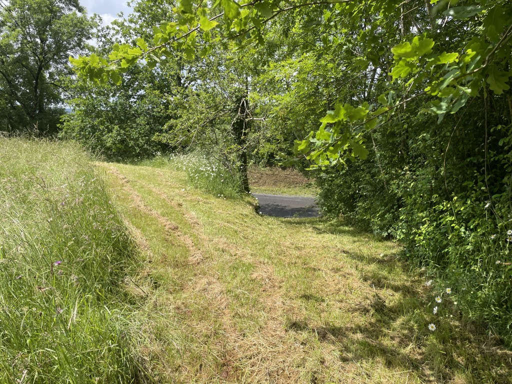 Terrain à VIGNOLS