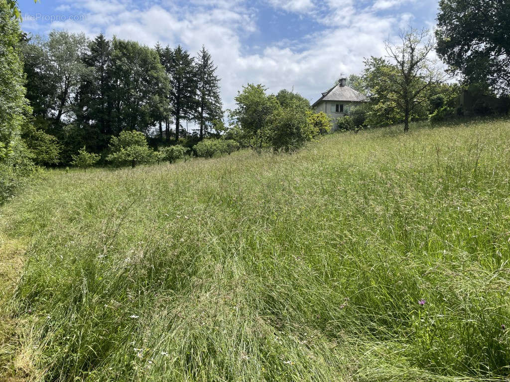 Terrain à VIGNOLS