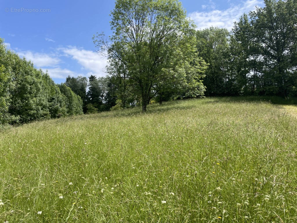 Terrain à VIGNOLS