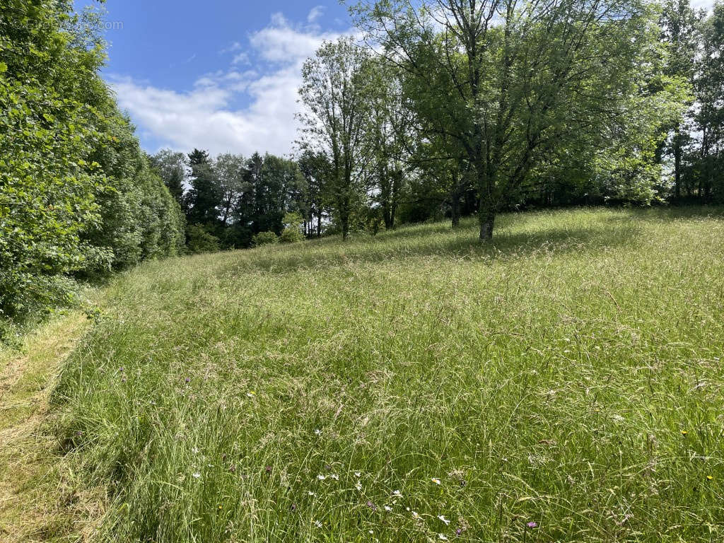 Terrain à VIGNOLS