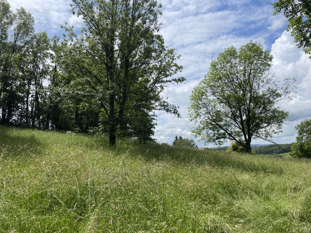 Terrain à VIGNOLS