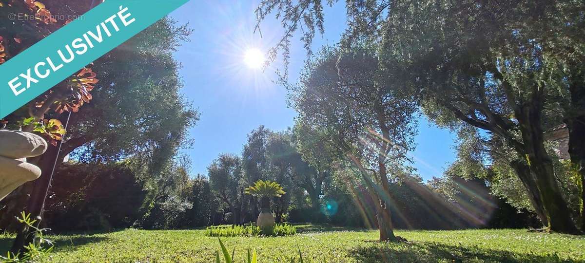 Photo 9 - Appartement à CAGNES-SUR-MER