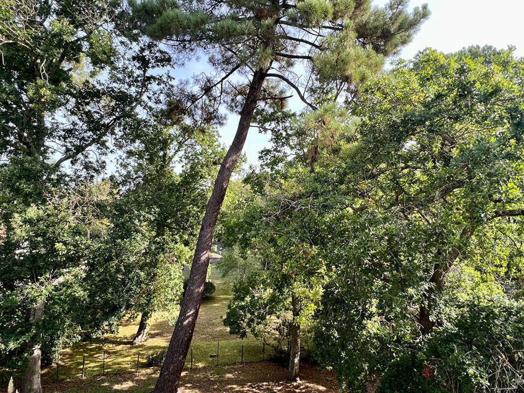 Appartement à CAPBRETON