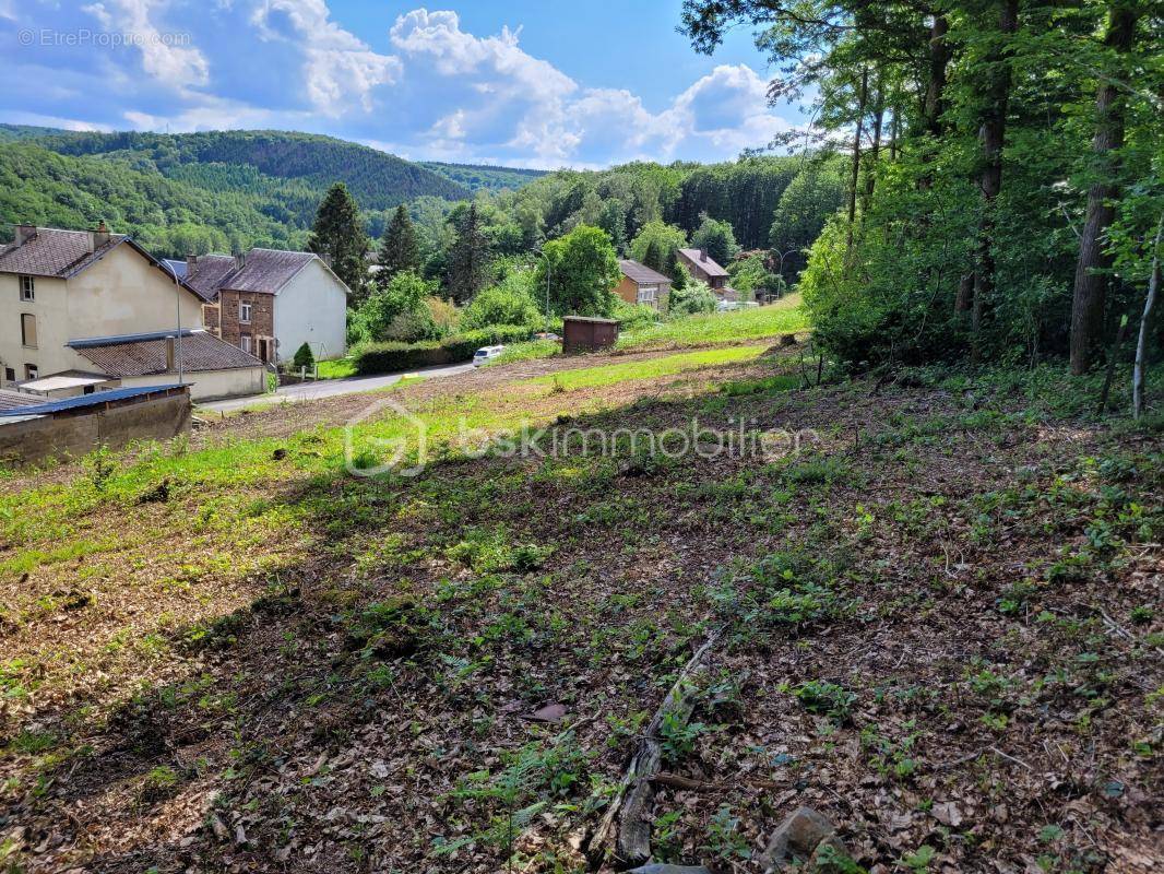 Terrain à BOGNY-SUR-MEUSE