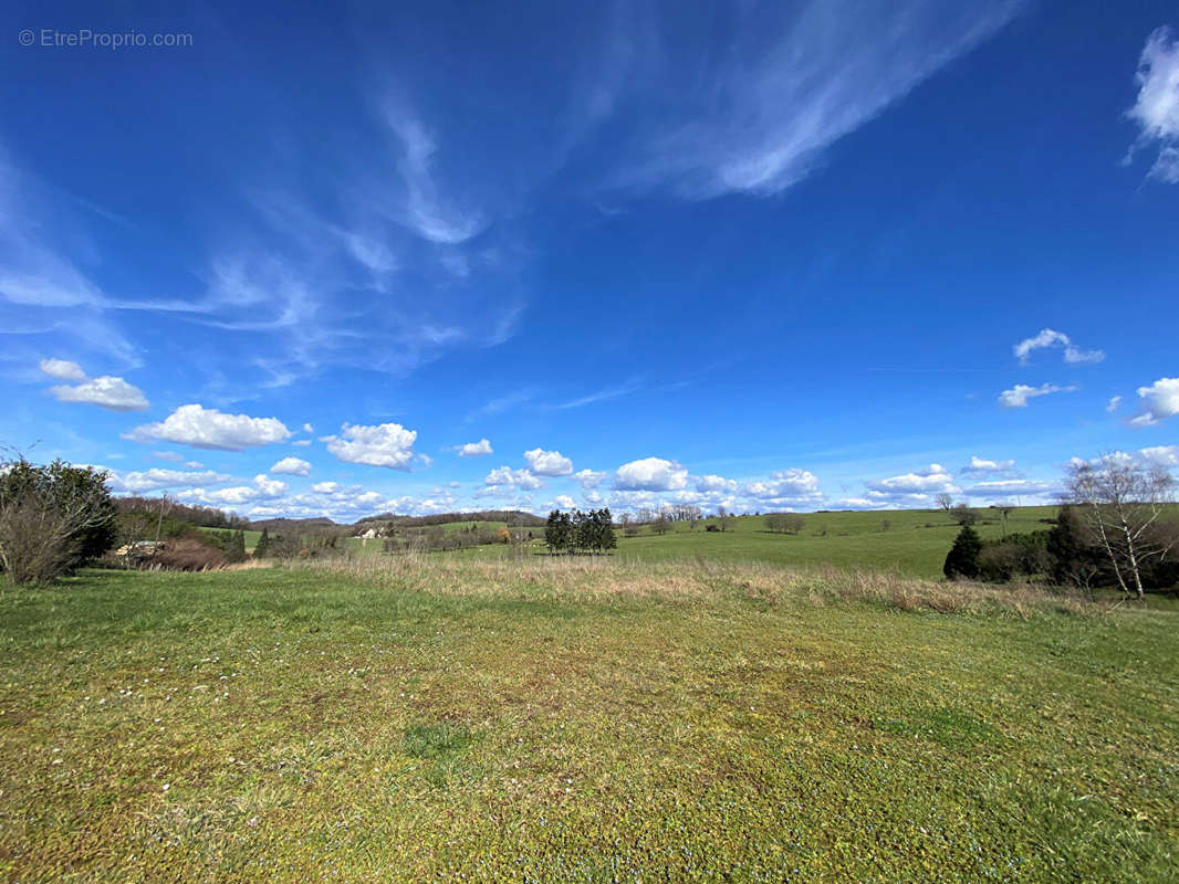 Terrain à MONTMOROT