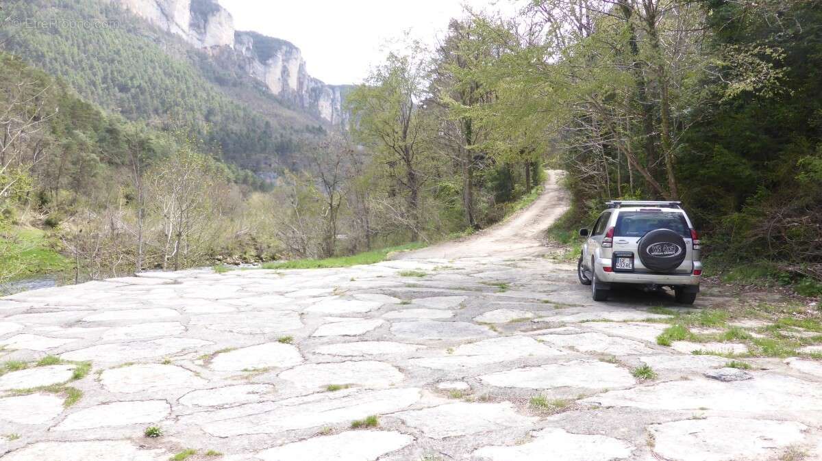 Commerce à MOSTUEJOULS