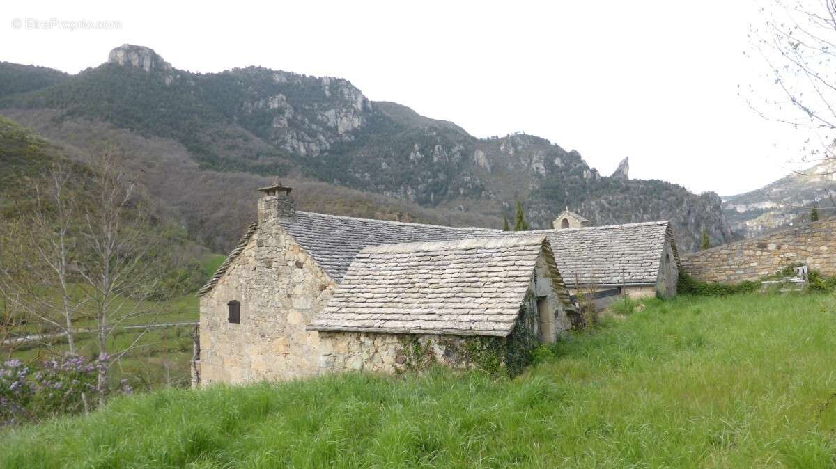 Maison à LE MASSEGROS