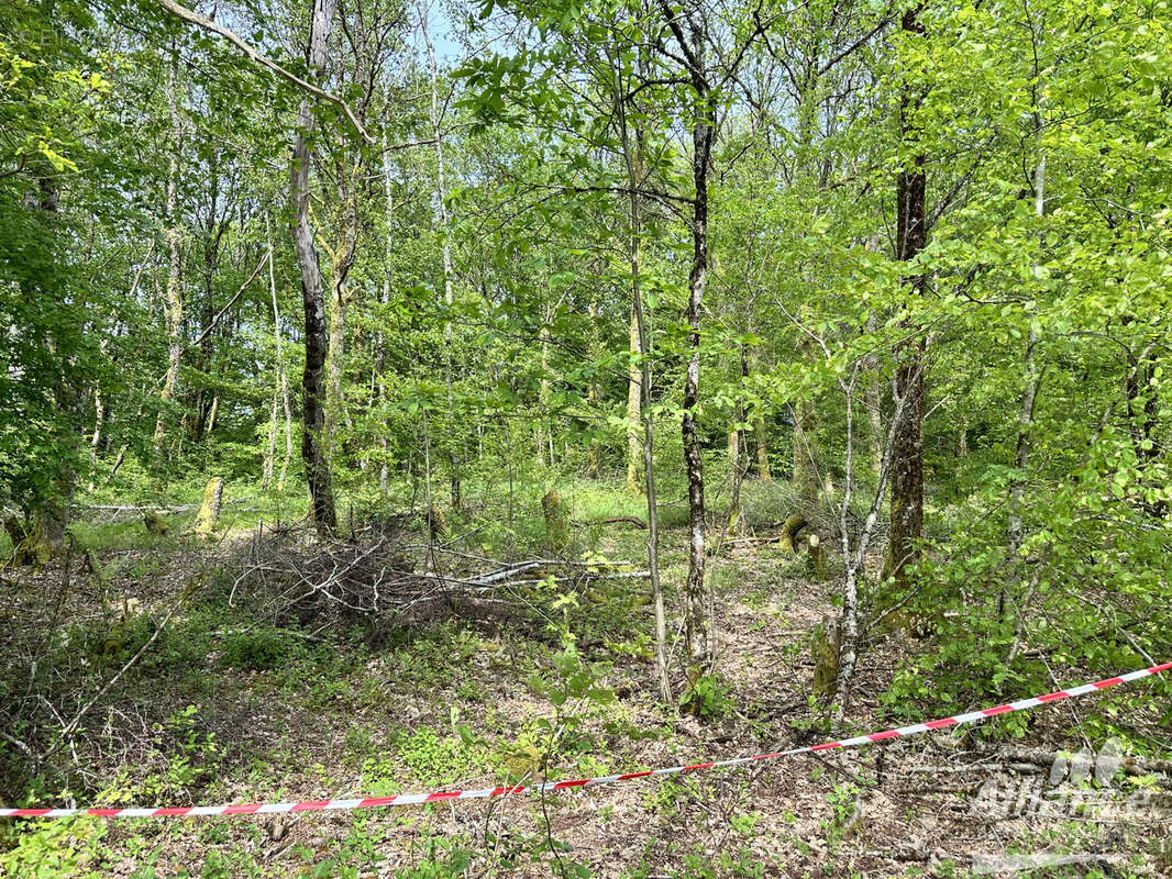 Terrain à LACHAPELLE-SOUS-CHAUX