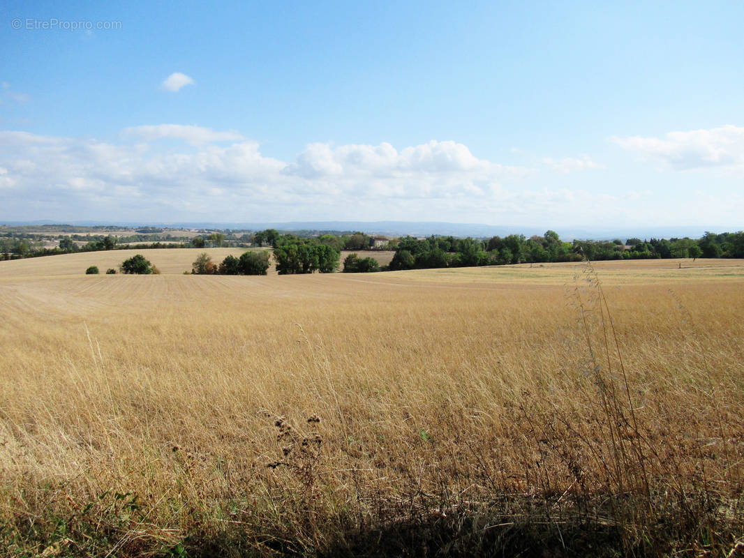 Terrain à SAINT-AFFRIQUE-LES-MONTAGNES