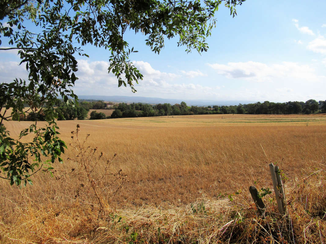 Terrain à SAINT-AFFRIQUE-LES-MONTAGNES