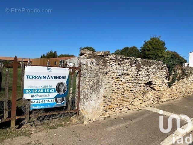 Photo 1 - Terrain à SAINTE-RADEGONDE-DES-NOYERS