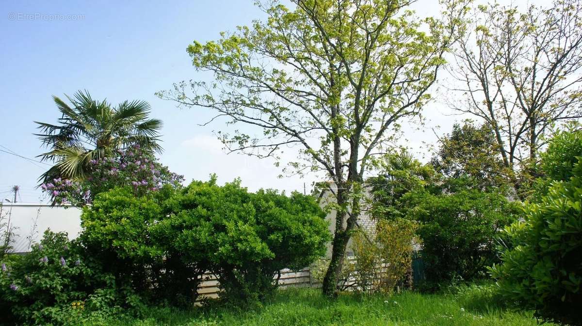 Terrain à SAINT-NAZAIRE