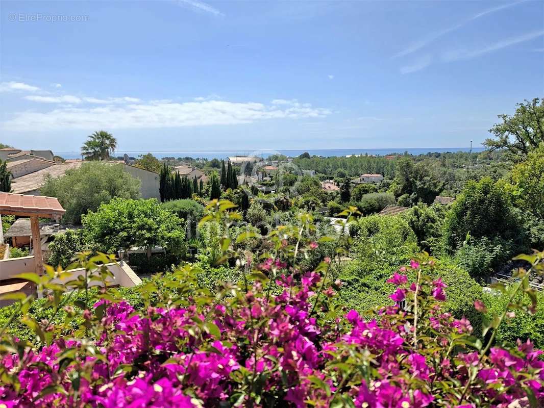 Maison à ANTIBES