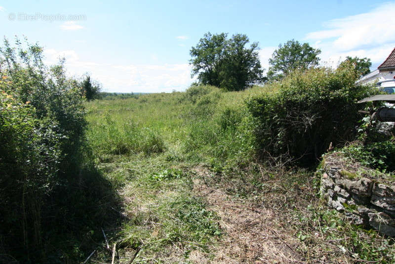 Terrain à SAINT-SEINE