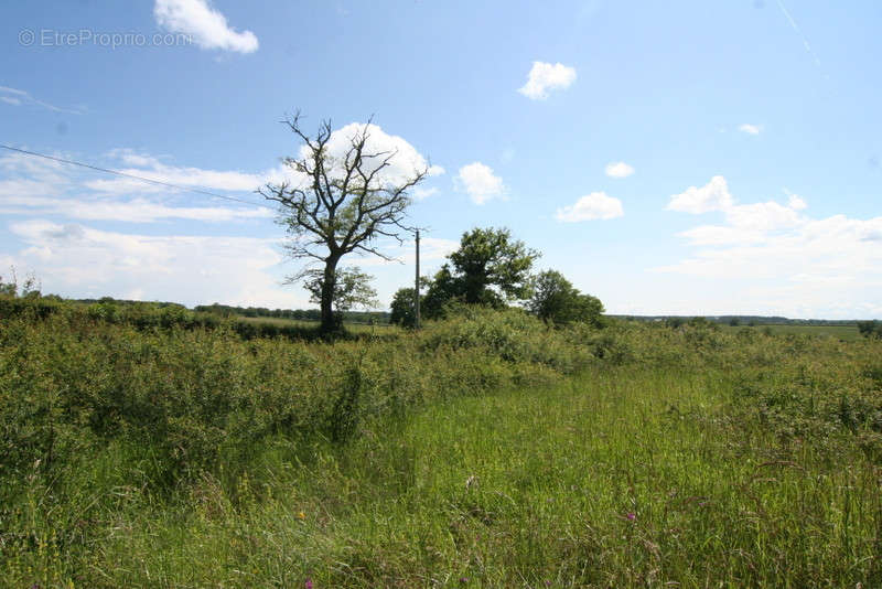 Terrain à SAINT-SEINE