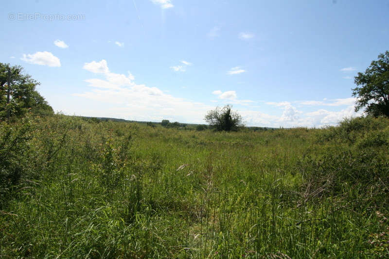 Terrain à SAINT-SEINE