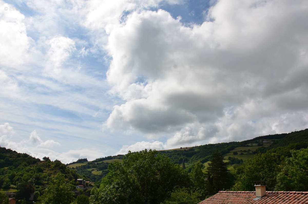 Terrain à BALAGUIER-SUR-RANCE