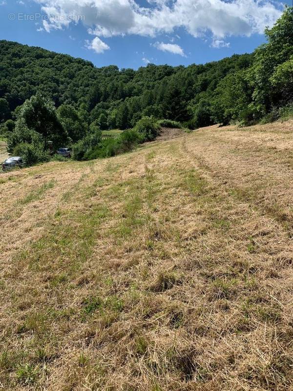 Terrain à BALAGUIER-SUR-RANCE