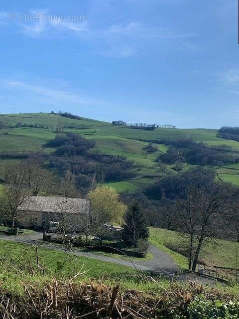 Terrain à LA BASTIDE-SOLAGES