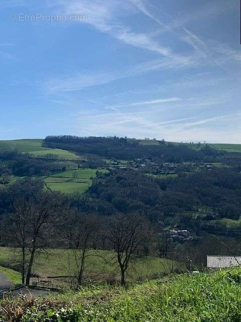 Terrain à LA BASTIDE-SOLAGES