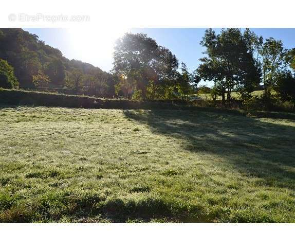 Terrain à LA BASTIDE-SOLAGES