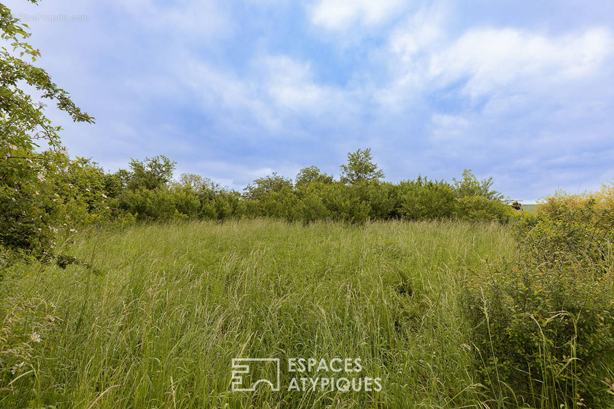 Terrain à PUTTELANGE-LES-THIONVILLE