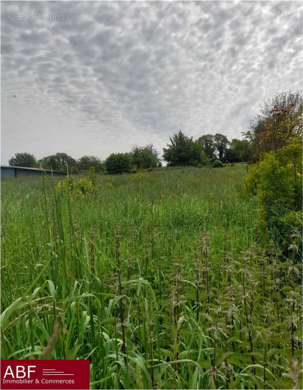 Terrain à SAINT-NICOLAS-D&#039;ALIERMONT