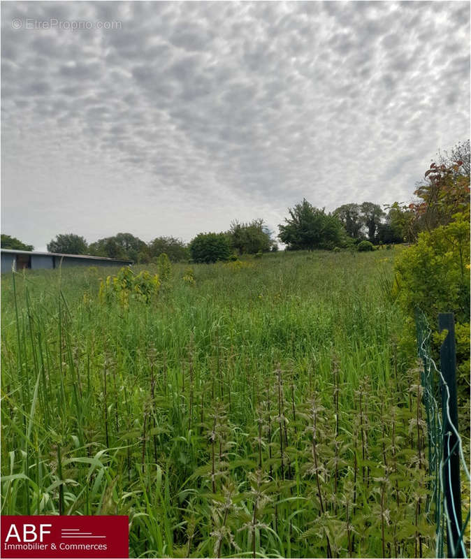 Terrain à SAINT-NICOLAS-D&#039;ALIERMONT