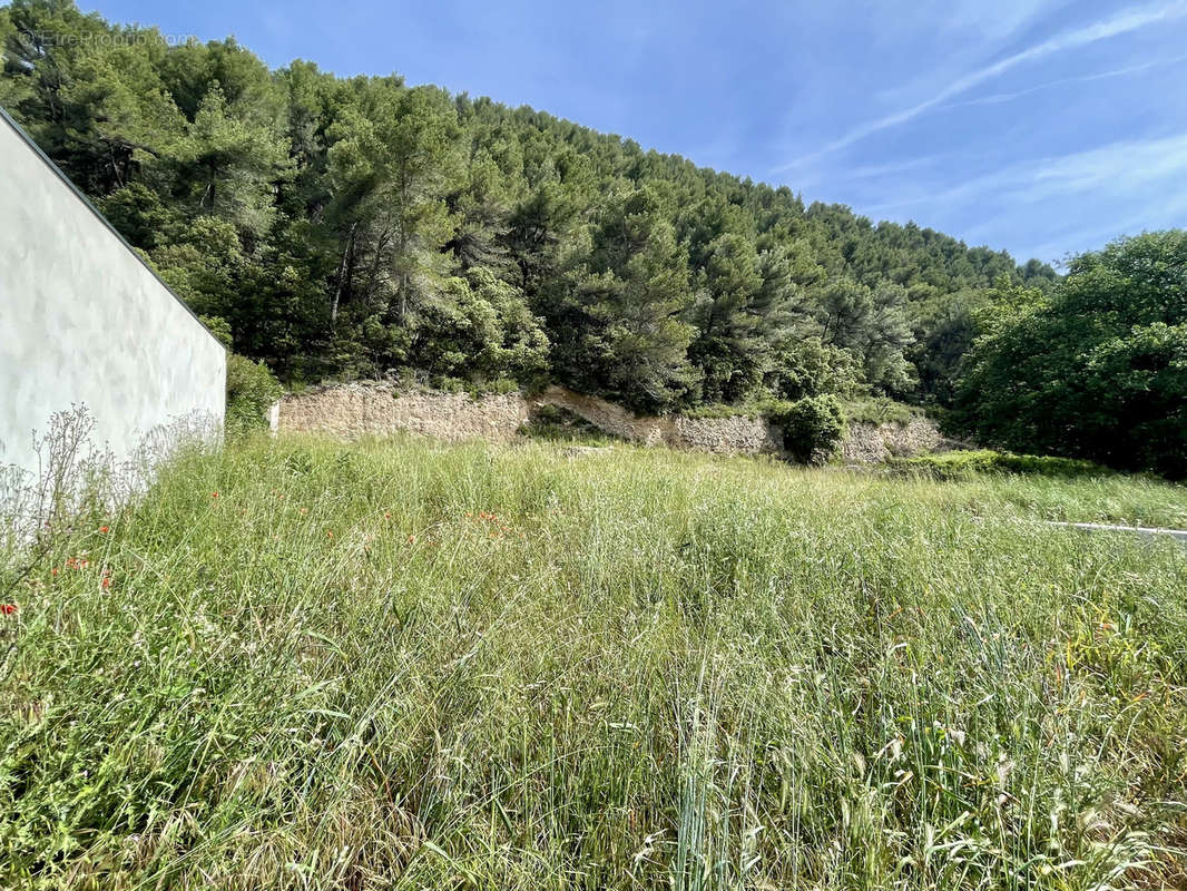 Terrain à VAISON-LA-ROMAINE